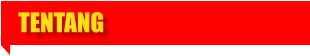 TENTANG